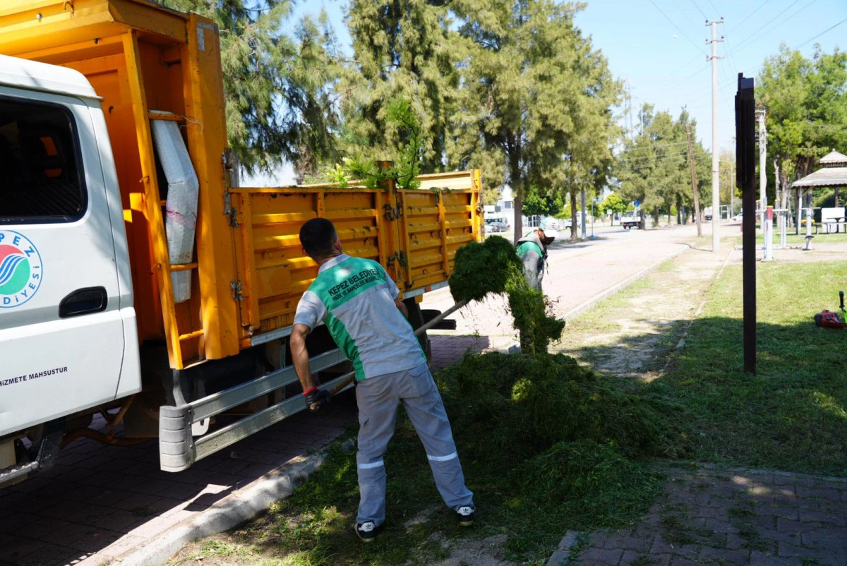 Antalya Kepez'de yeşil alan bakımları s&uuml;r&uuml;yor