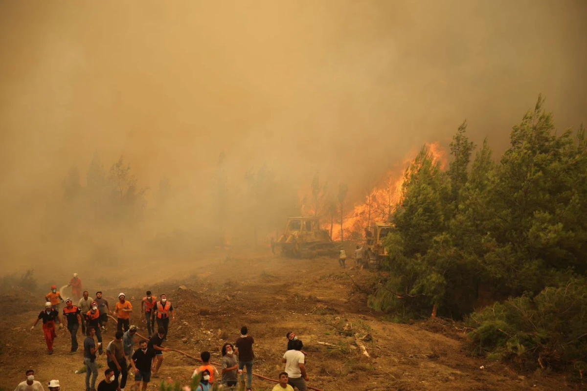 Antalya'da yangının acı bilan&ccedil;osu! 3 g&uuml;nde 34 yangın