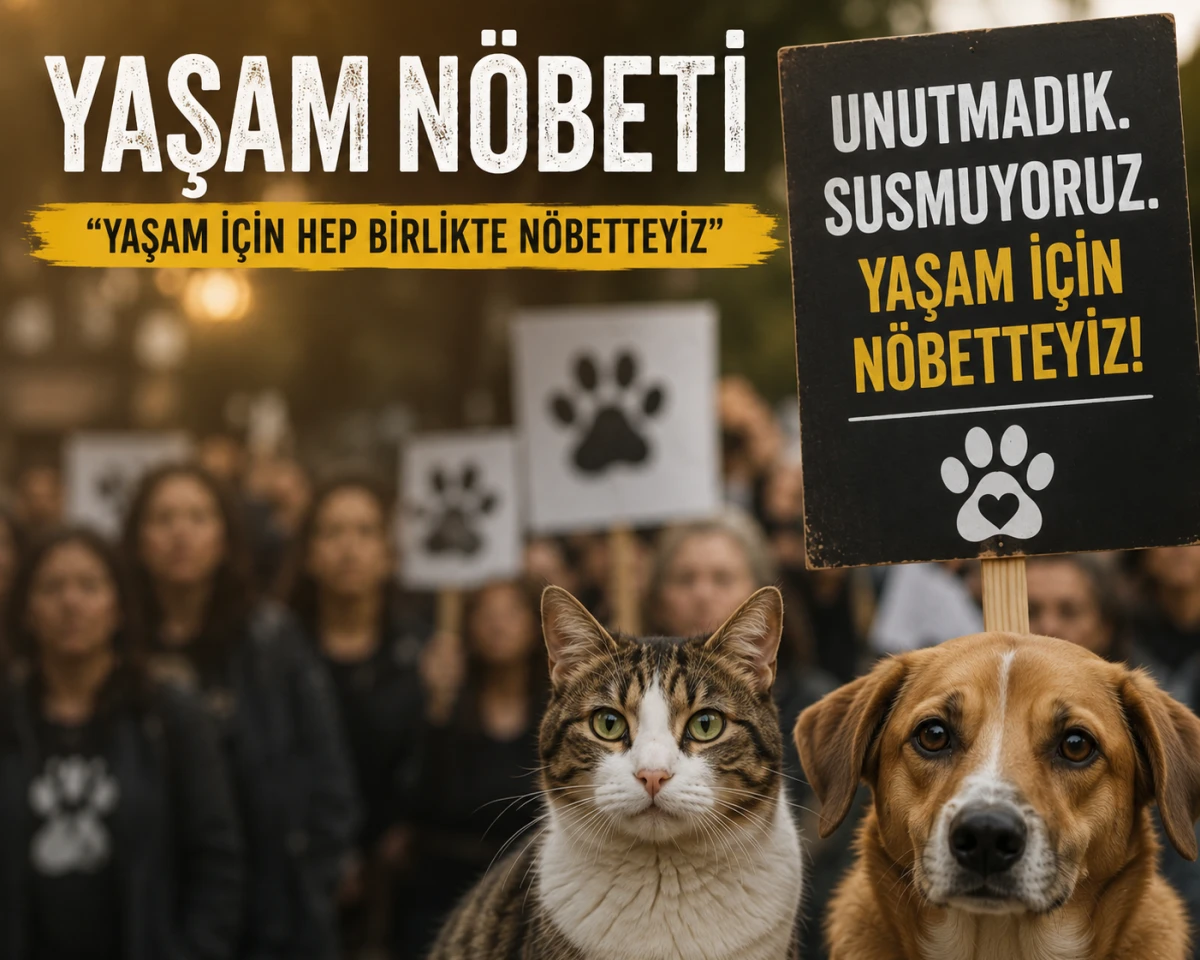 Antalya'da 'Yaşam N&ouml;beti' buluşması! Hayvanların sesi olacaklar